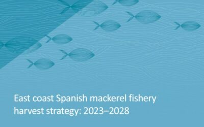 East coast Spanish mackerel harvest strategy: 2023-2028