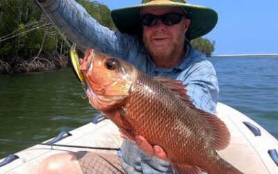 Call for Territory anglers to donate Mangrove Jack frames to science