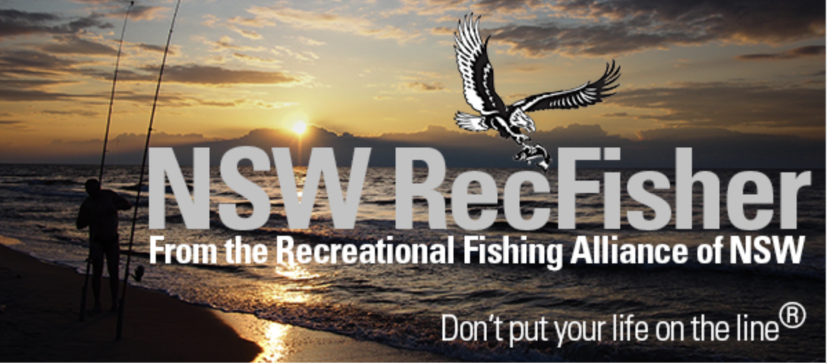 Recreational Fishing Alliance of NSW – Policy Analysis