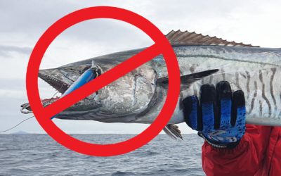 Queensland – Spanish Mackerel Fishery
