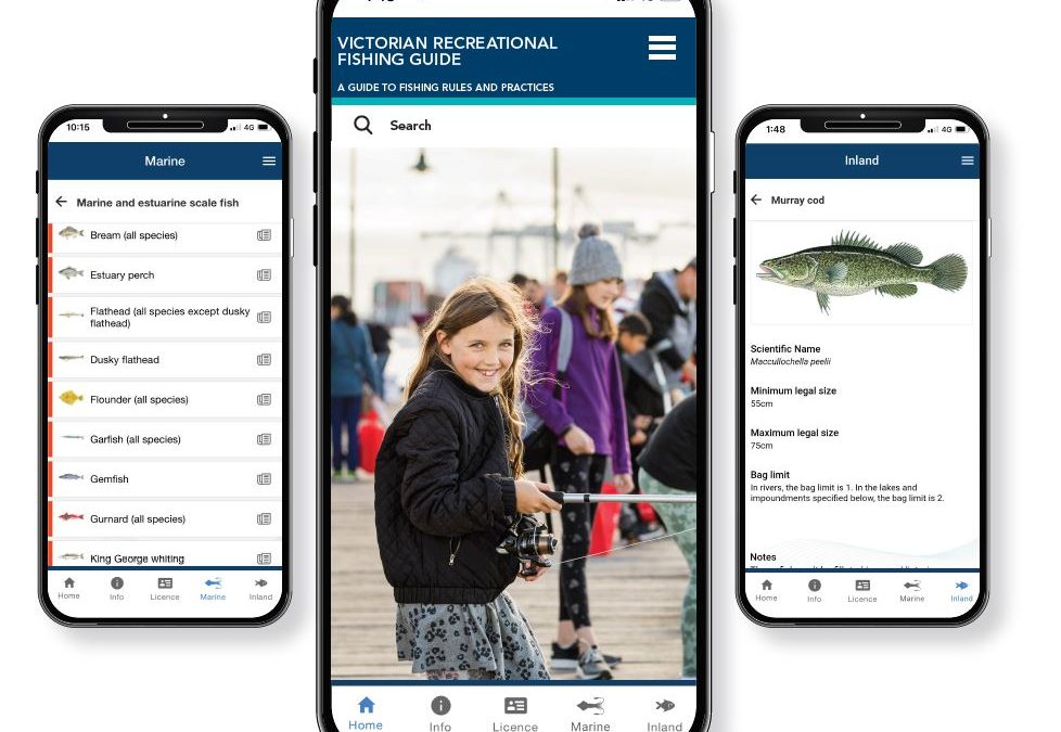 Multicultural Fishers Welcome New In-Language App