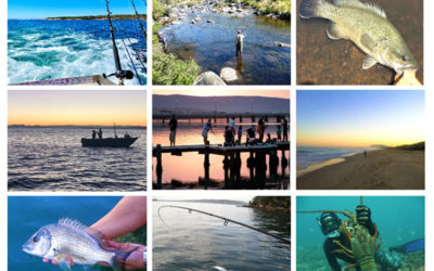NSW Rec Fishing Survey is underway